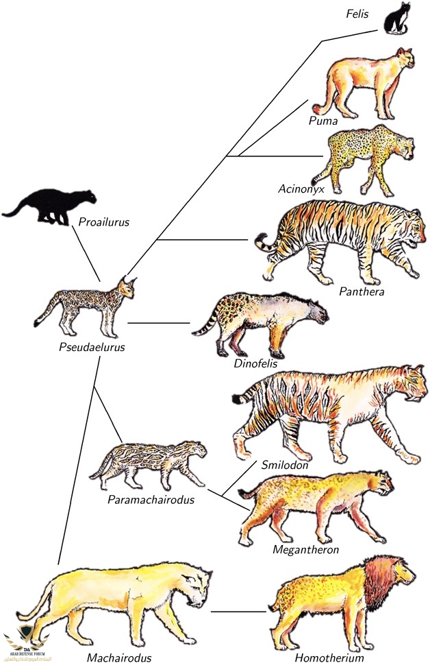 Figure-3.1-1.jpg