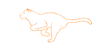 runningcycle_looped.gif