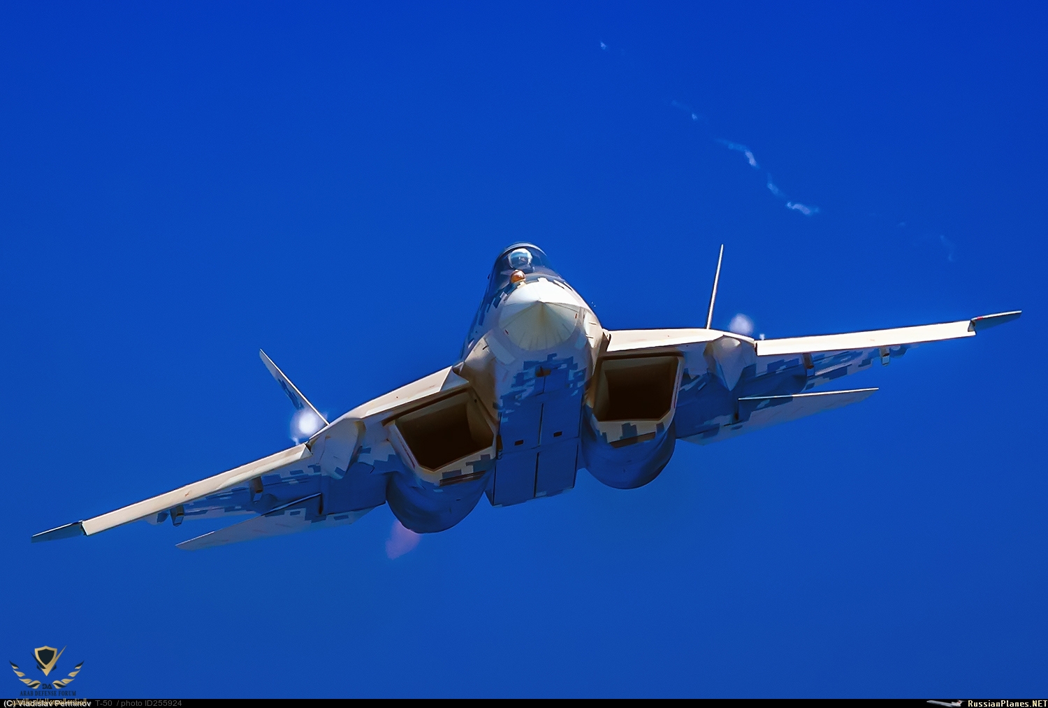 255924.jpg