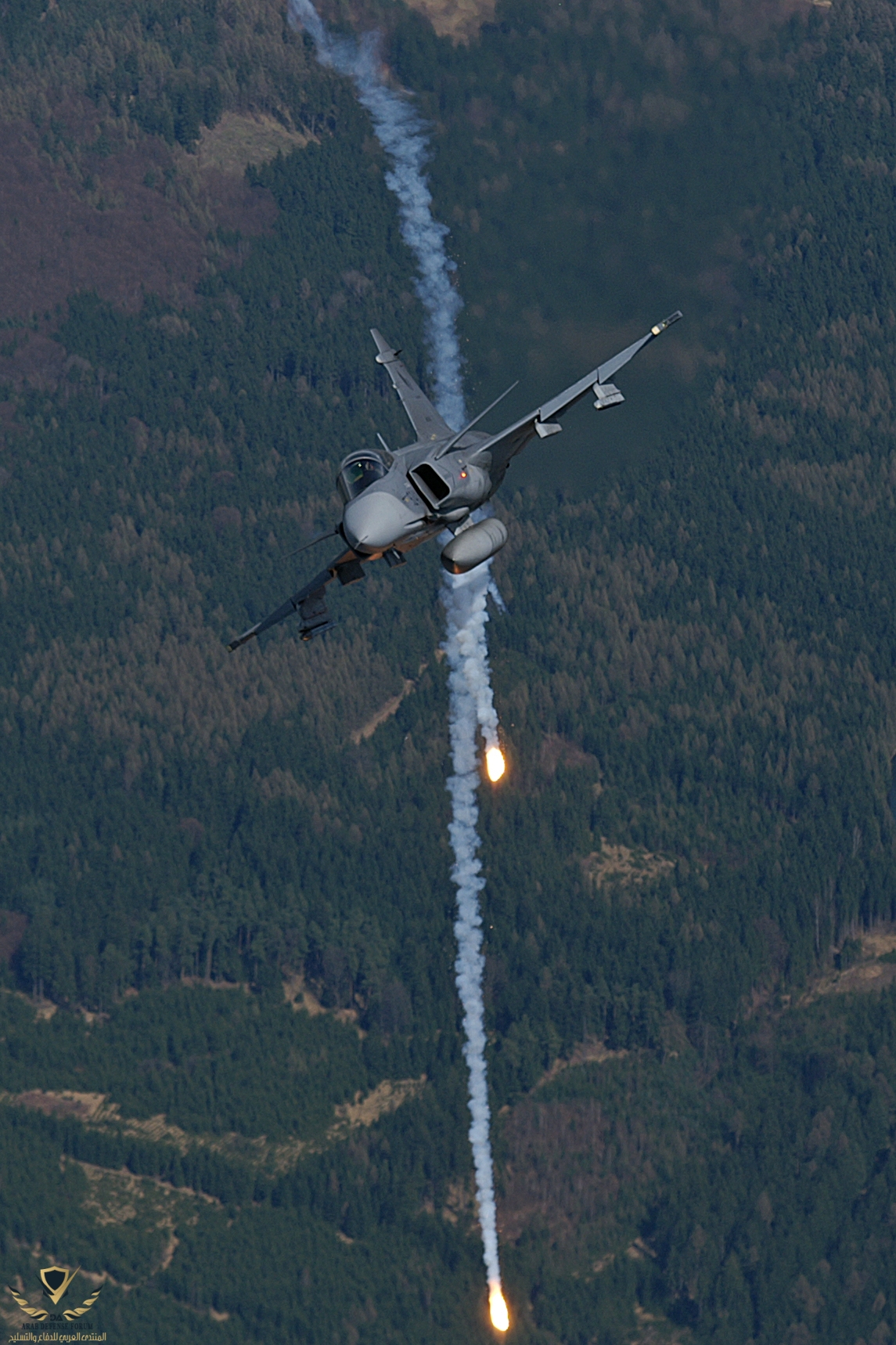 Flares_(5598703900).jpg