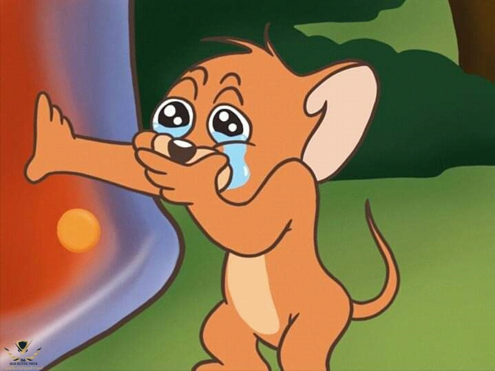 jerry-llorando-meme-en-hd.jpg