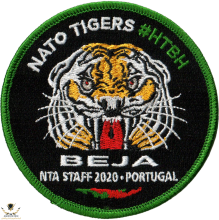 nta-staff-patch-2020.png