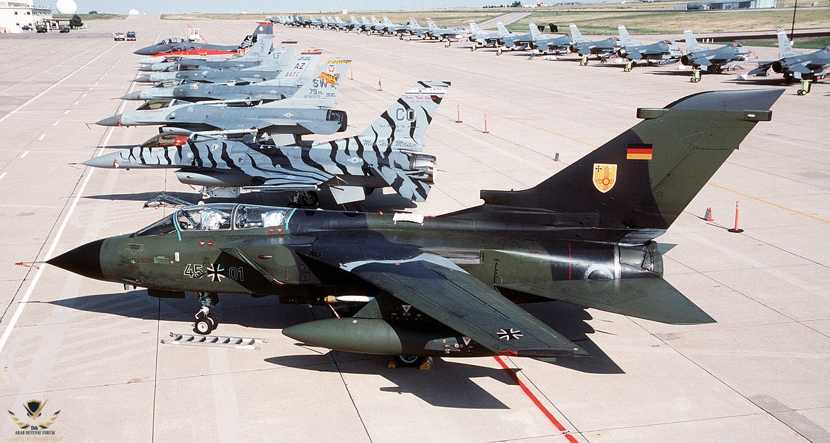 1200px-Tiger_Meet_aircraft_at_Buckley_AFB_2003.JPEG