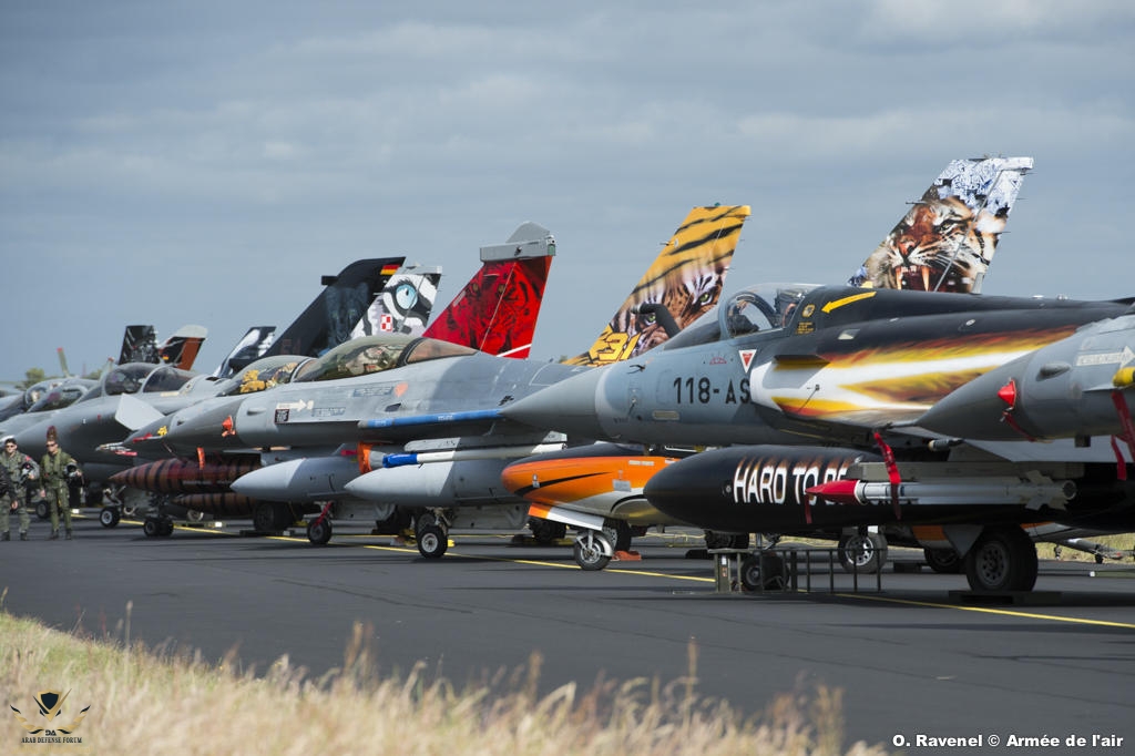 des-mirage-2000-decores-pour-le-tiger-meet-2014.jpg