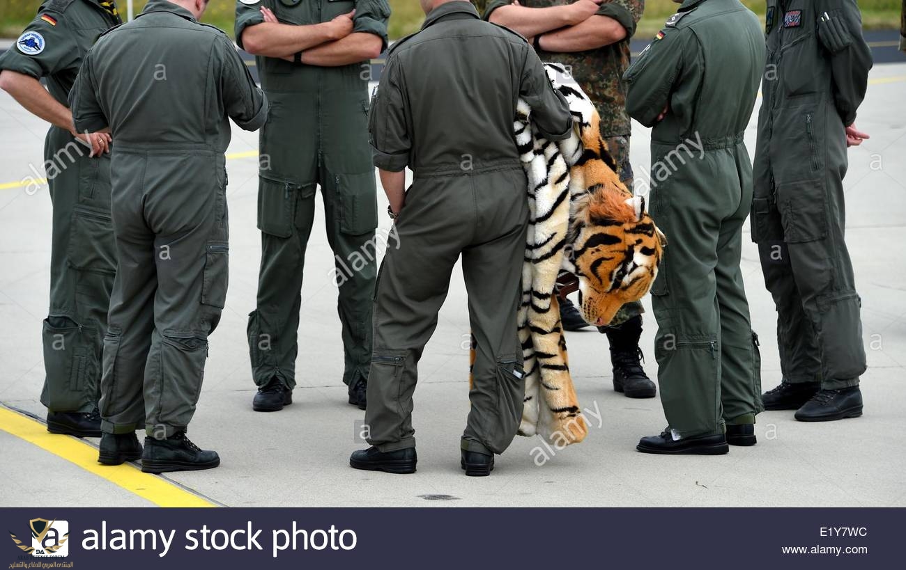 jagel-germany-11th-june-2014-an-air-force-soldier-holds-a-tiger-costume-E1Y7WC.jpg