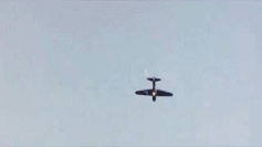 56357c6b3c430f1439895c1f3749c740.gif
