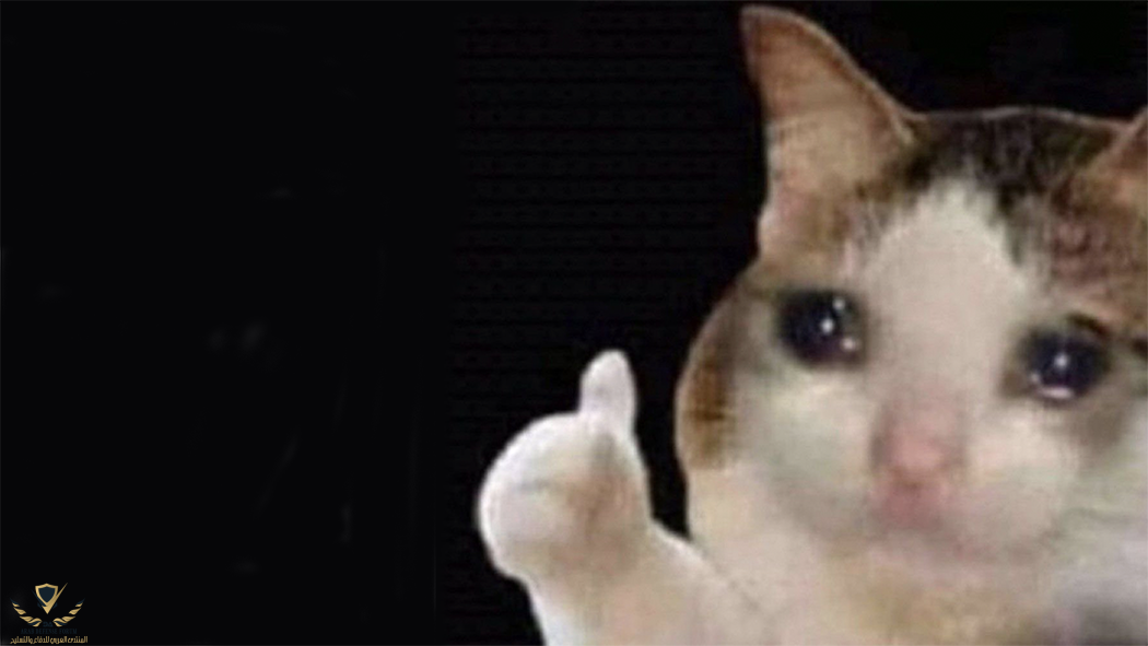 1623471332682.png