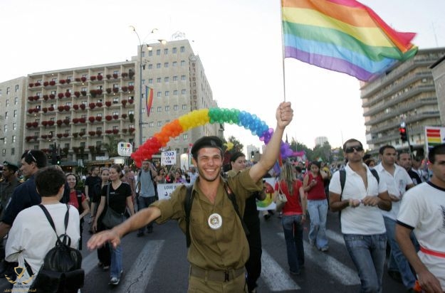 gayidf21.jpg