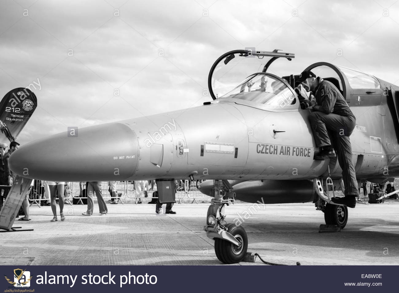 a-young-boy-gets-shown-a-czech-air-force-aero-l-159-alca-multi-role-EA8W0E.jpg