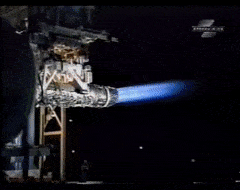 CloseAnyAmericanwarmblood-max-1mb.gif