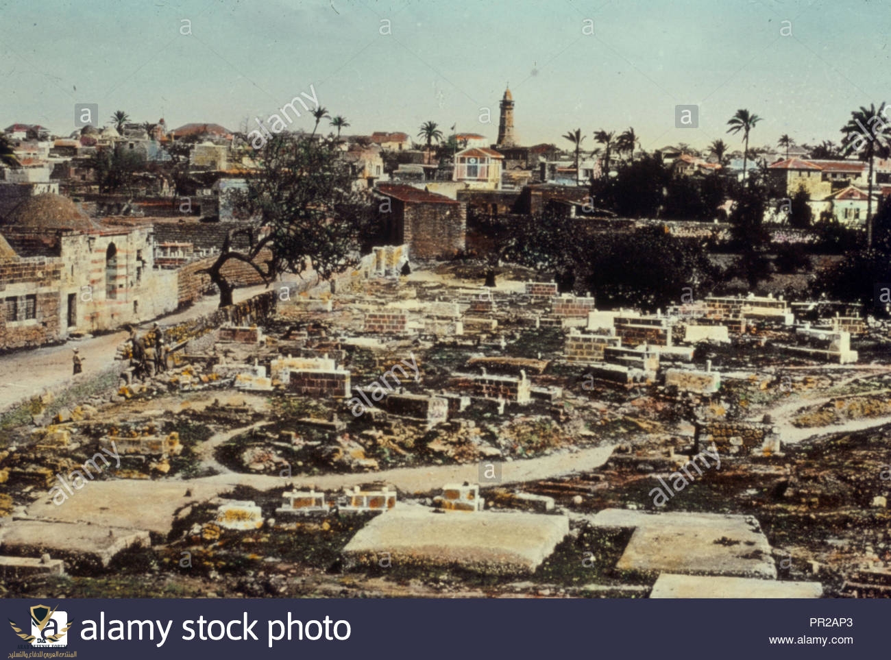 southern-palestine-hebron-beersheba-and-gaza-area-gaza-judges-161-1950-gaza-strip-gaza-PR2AP3.jpg