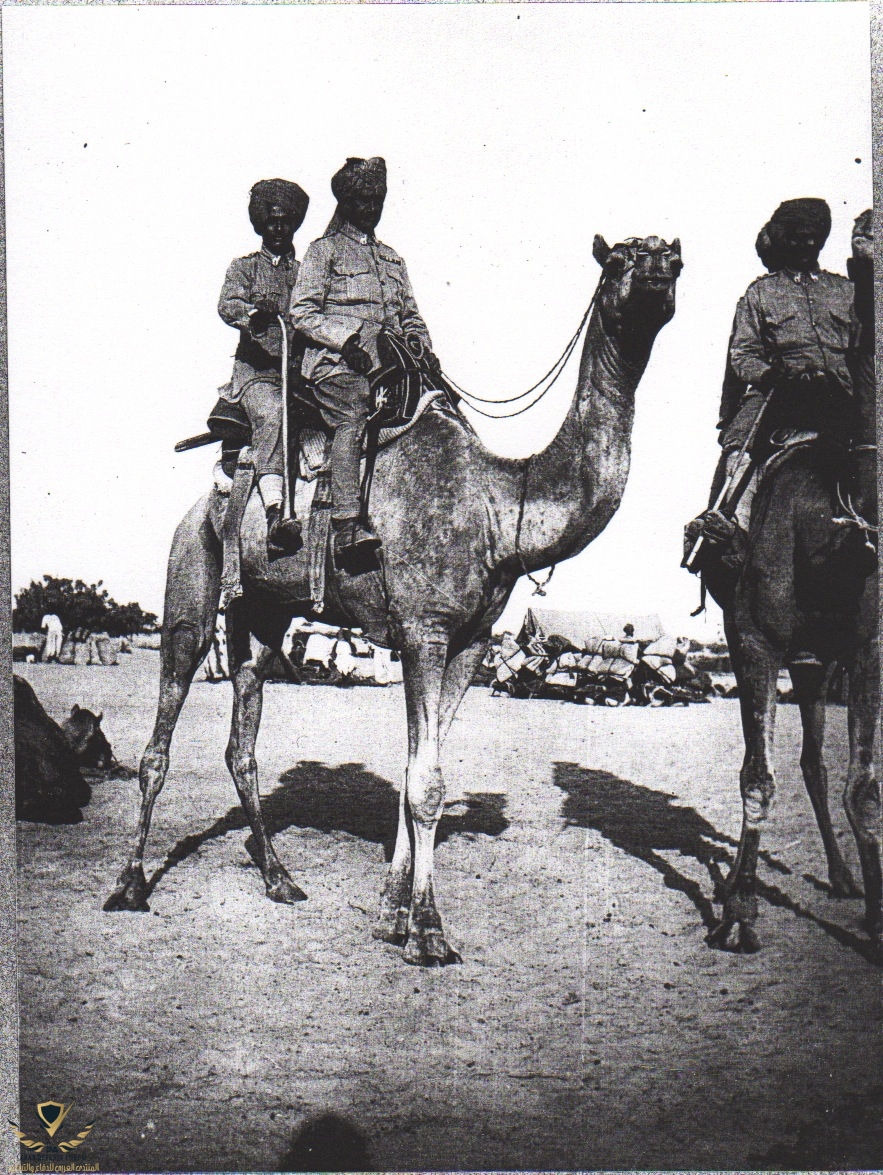 Bikaner_Camel_Corps,_El_Arish_1918_(IWM_Q50888).jpeg