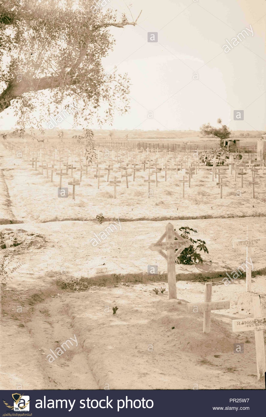 war-cemetery-at-gaza-1917-gaza-strip-middle-east-PR25W7.jpg
