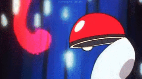 CloudyScarceBoa-size_restricted.gif