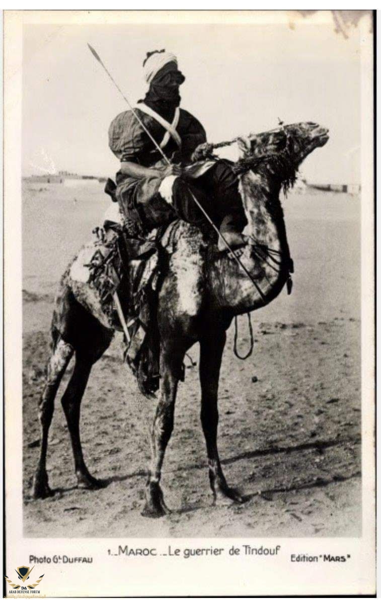 صورة من الارشيف الفرنسي عنوانها محارب من تندوف المغرب.jpg