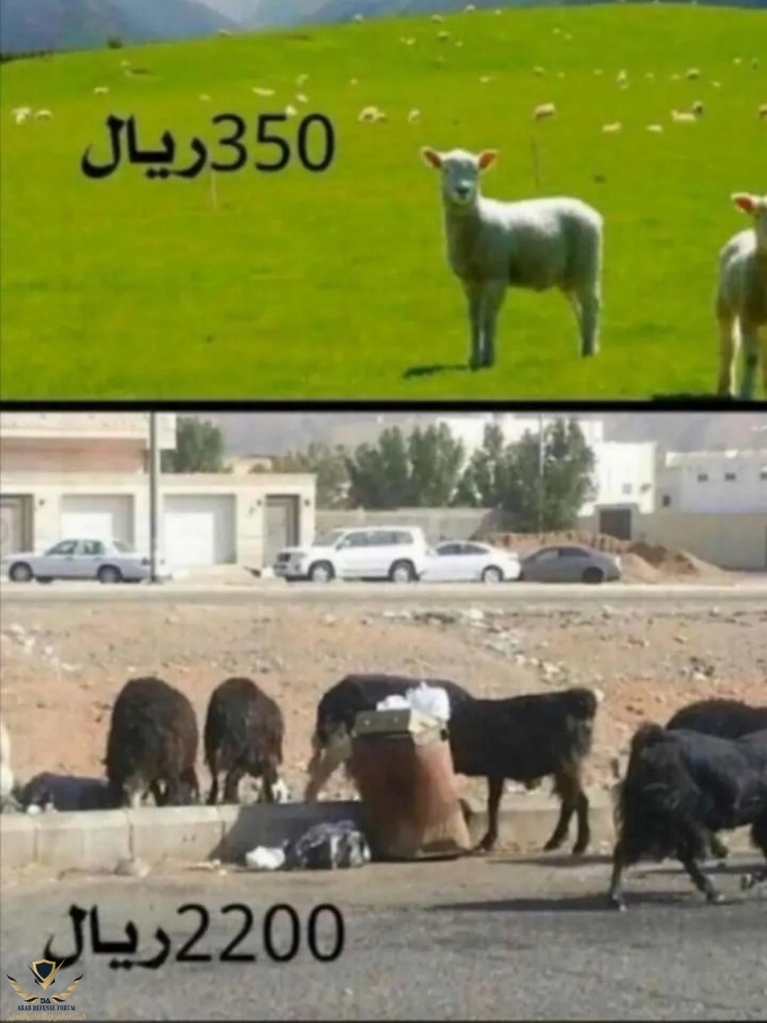 Screenshot_٢٠٢١٠٧١٥-٠٥٤٠٢٩_Snapchat.jpg