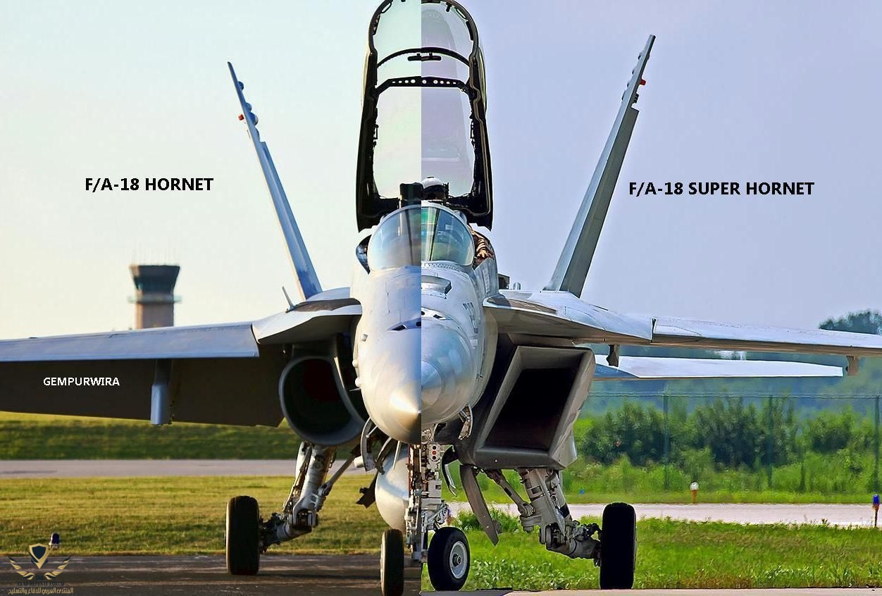 The-Difference-Between-F-18-Hornet-and-F-18-Super-Hornet.jpg