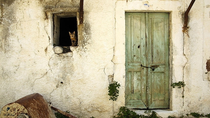 cat-barn-old-door-wallpaper-preview.jpg