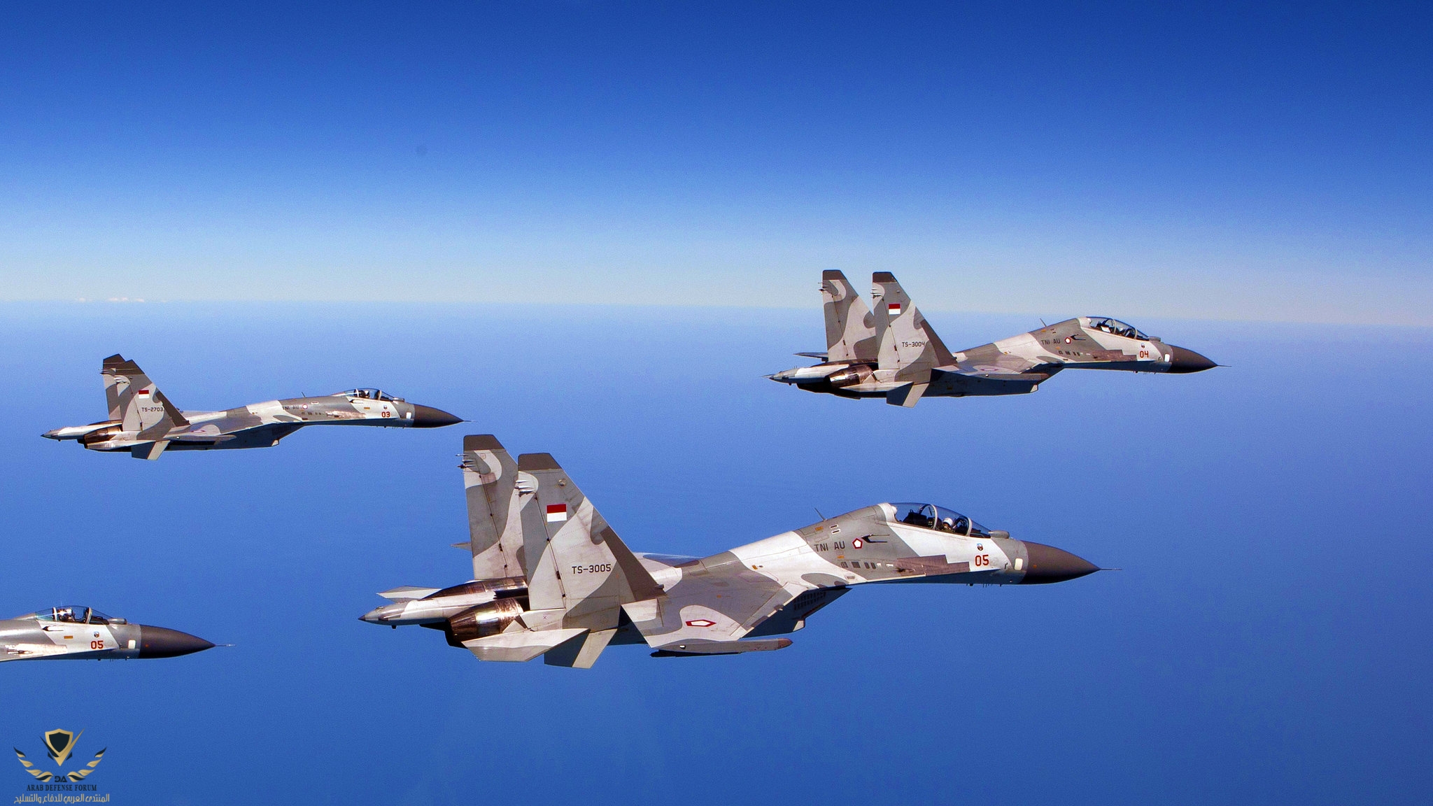 Sukhoi Su-27s and Su-30s - Indonesian Air Force.jpg