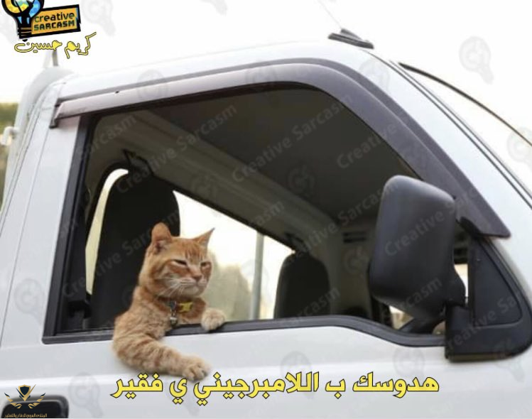 1628002008163.png