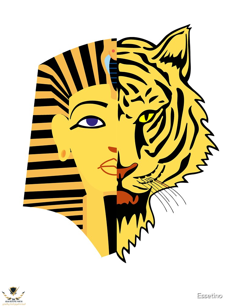 1628209782000.png