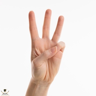 front-view-hand-showing-number-three_23-2148775894.jpg