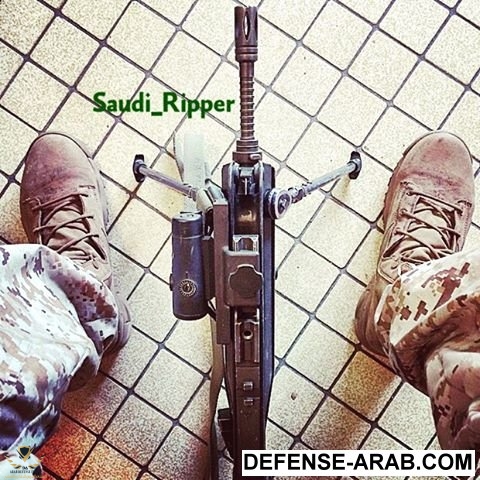 saudi_ripper-1.jpg