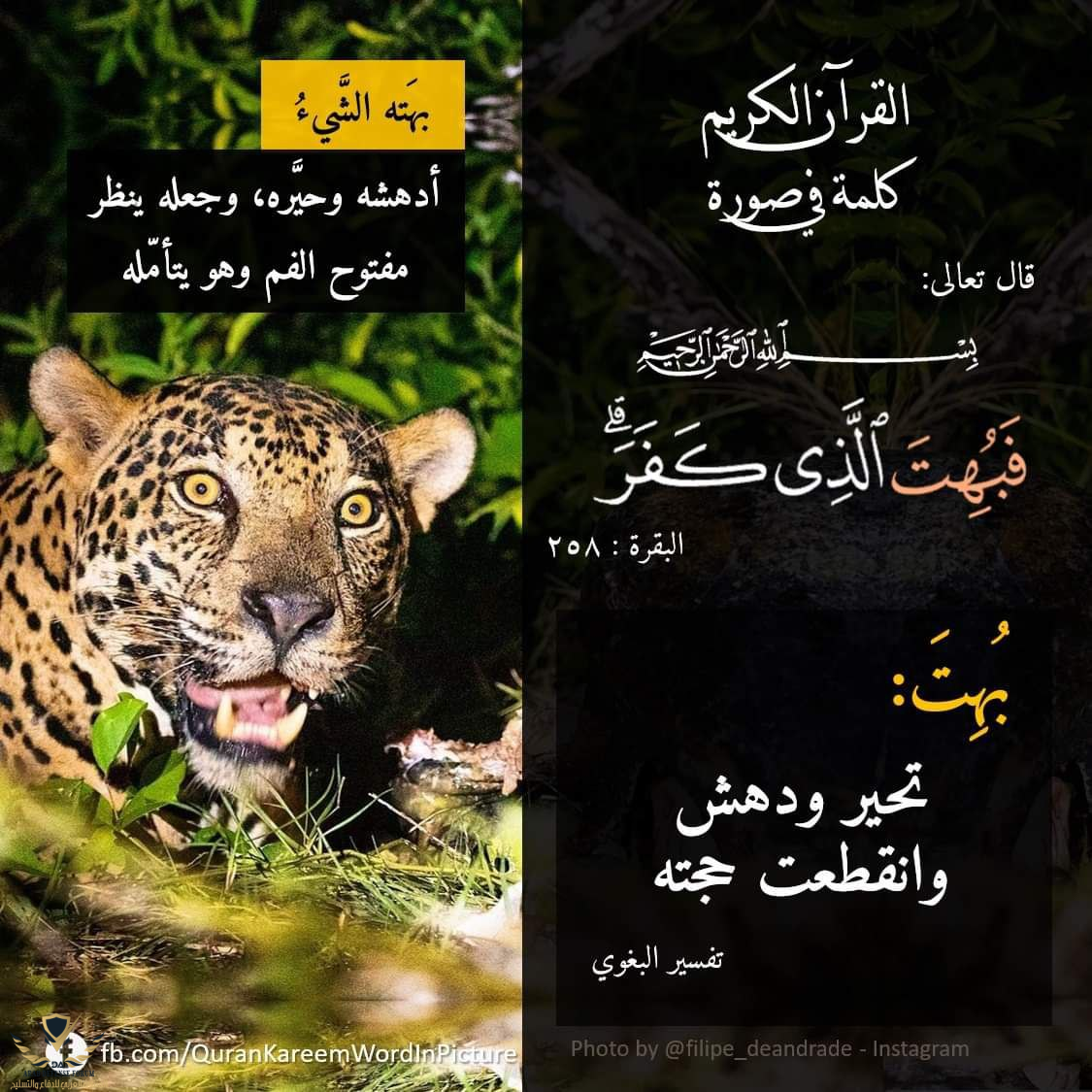 1628932474946.png