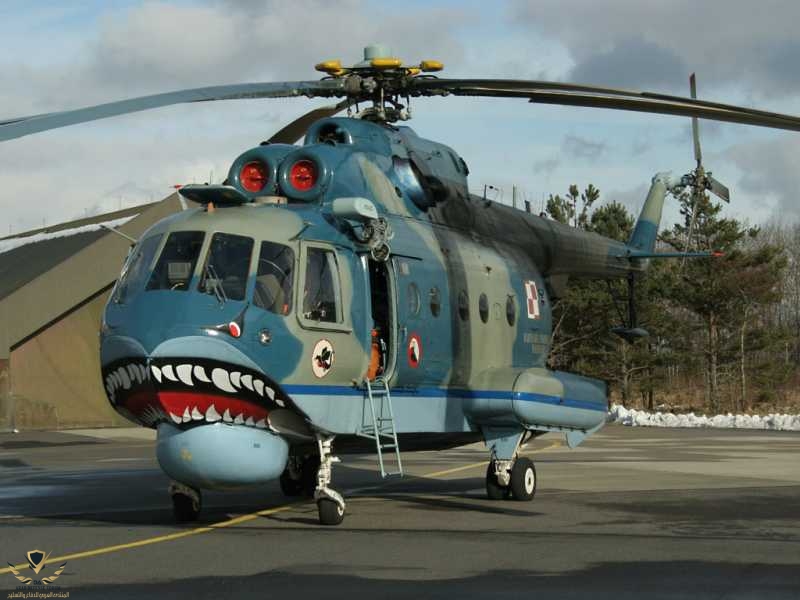 MI-14PL_1011_PN_280206_1.jpg