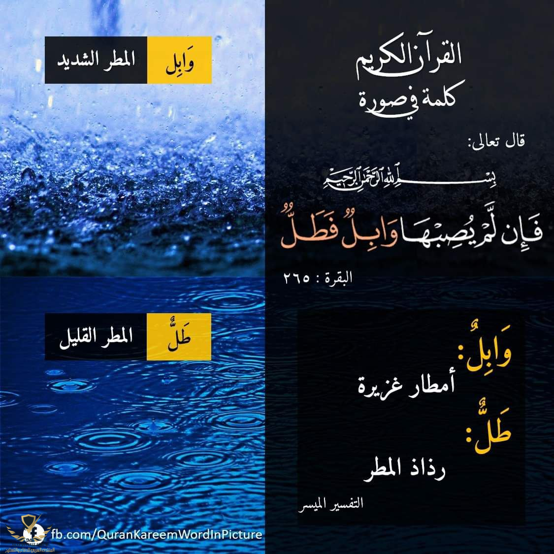 1629016171572.png