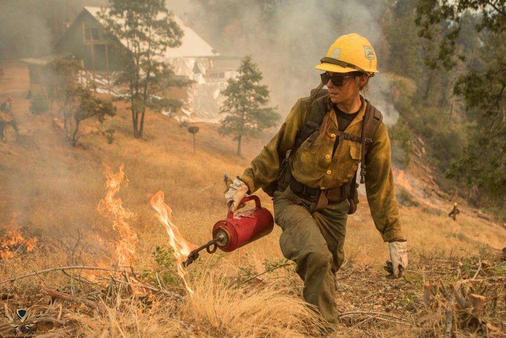 Tahoe-Hotshot-burn-operation-Ferguson-fire-1024x683.jpg