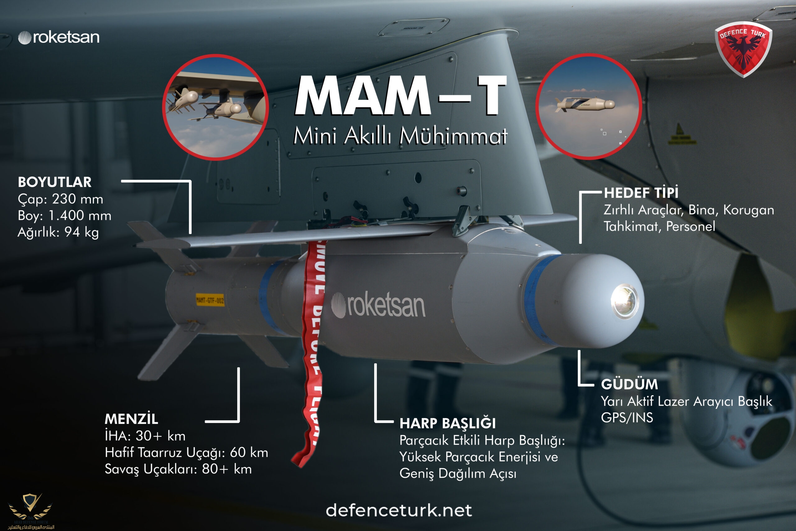 MAM-T-1-scaled.jpg