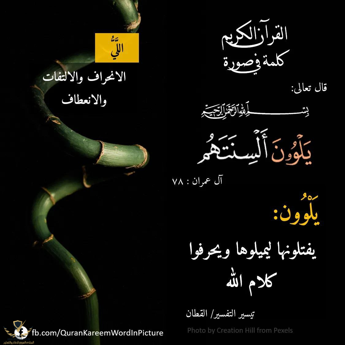 1629444400475.png