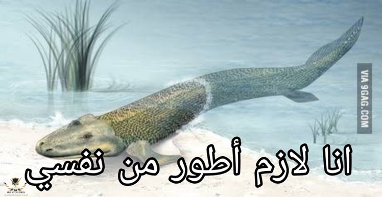 DCE5EE9F-5CE1-44CB-AE74-6605017414B7.jpeg