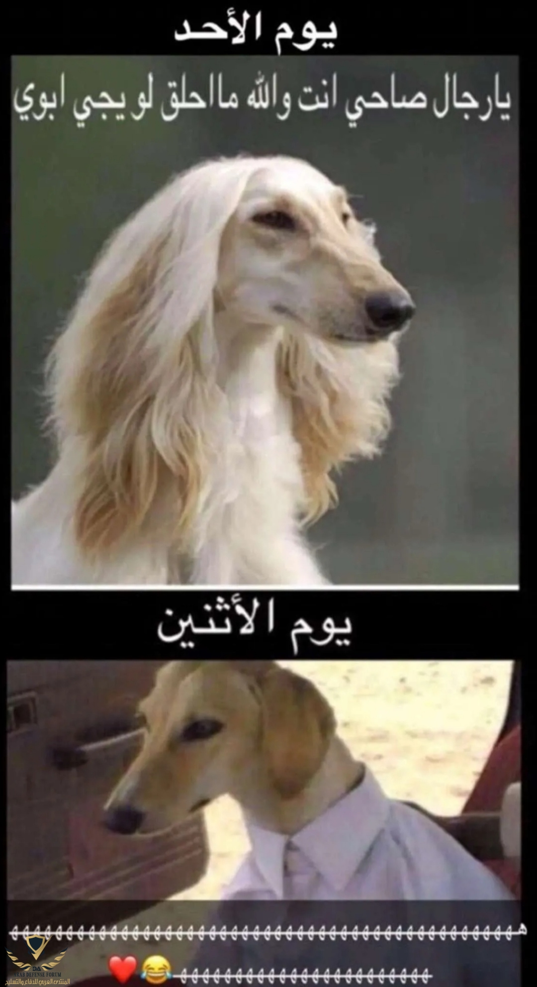 Screenshot_٢٠٢١٠٩٠٣_١٨٣٣٢٤.jpg