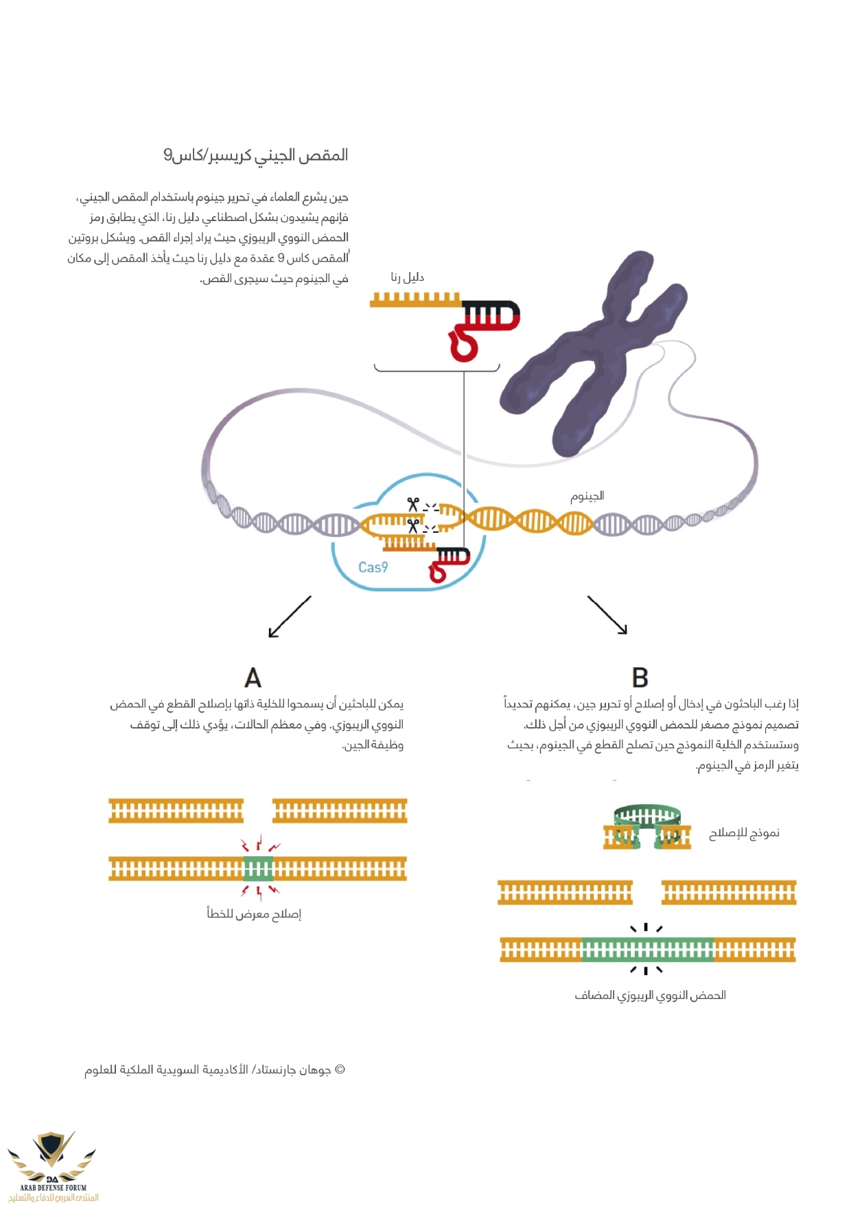 genetic_scissors_page-0001.jpg