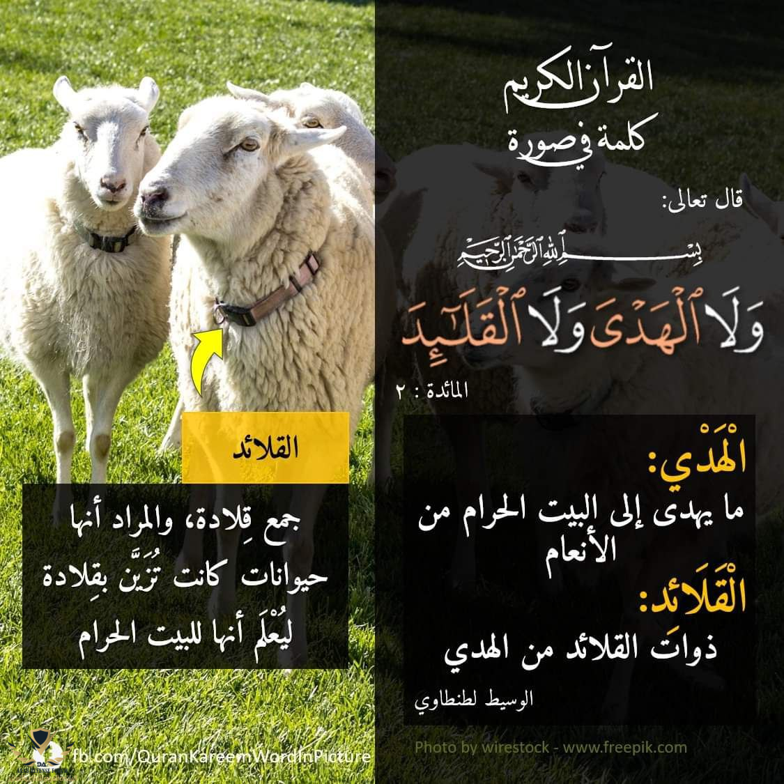 1631215162094.png