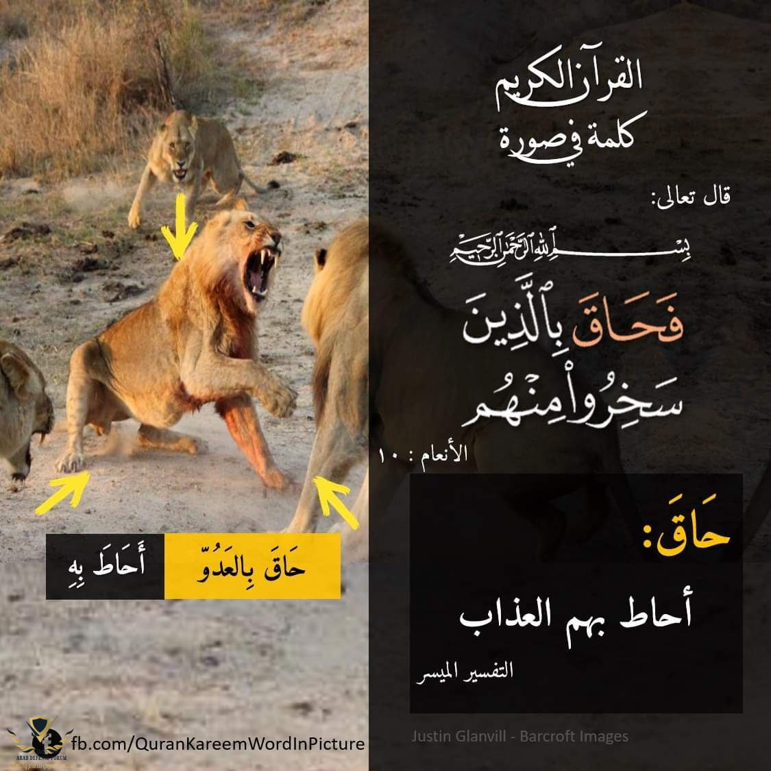 1631644077427.png