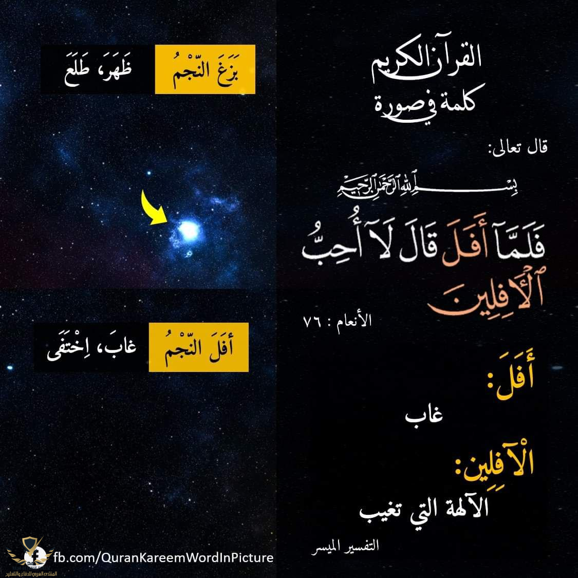 1631905182169.png