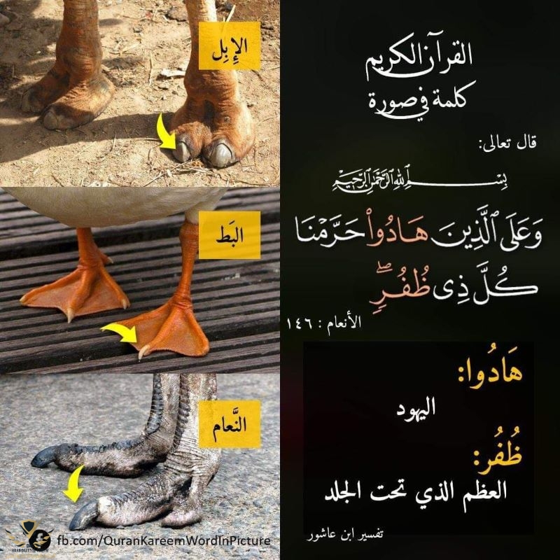 1632603573111.jpeg