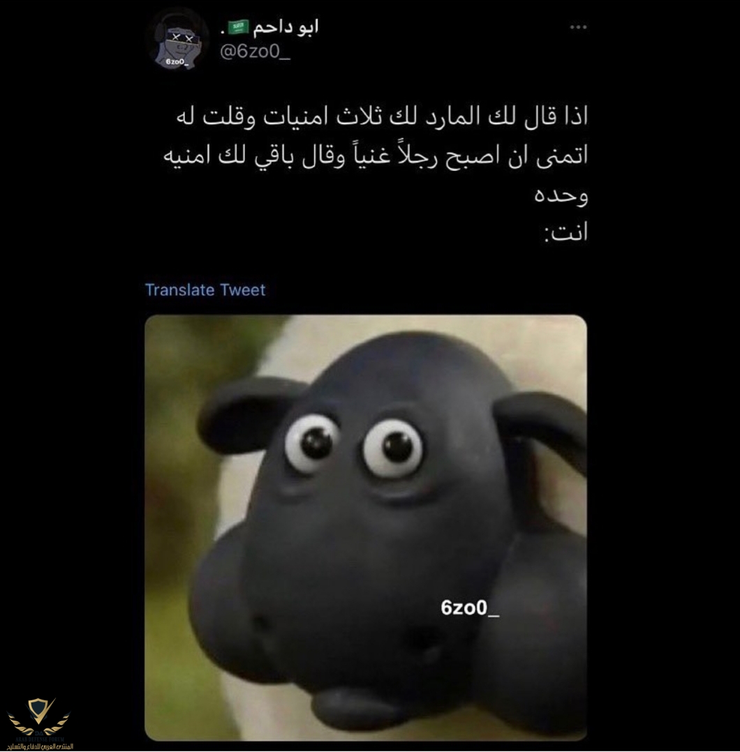 ٢٠٢١٠٩٢٧_٠٨٥٦٤٢.jpg