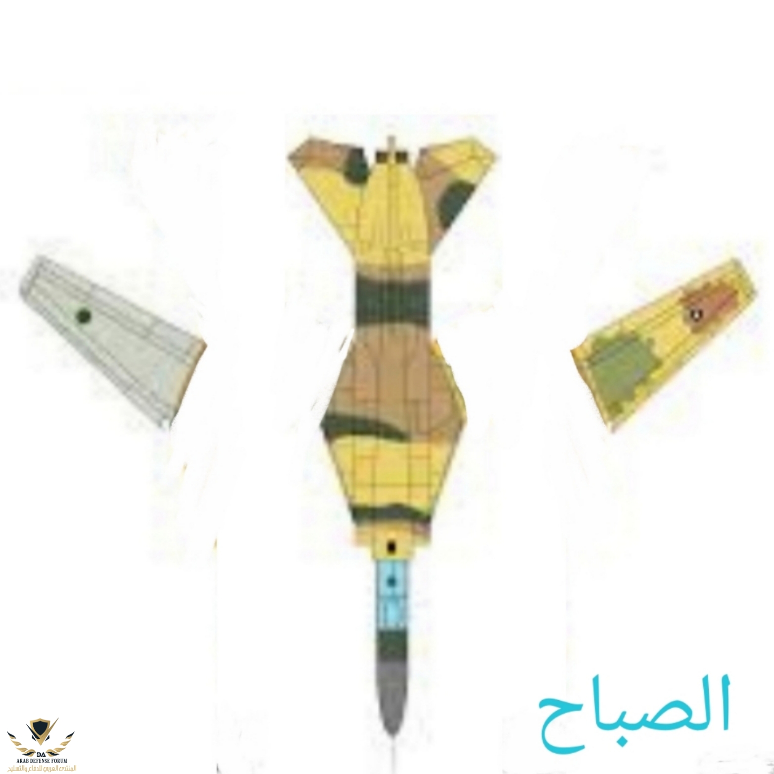 IMG_٢٠٢١٠٦٢٩_١١٣٥٠٥.jpg