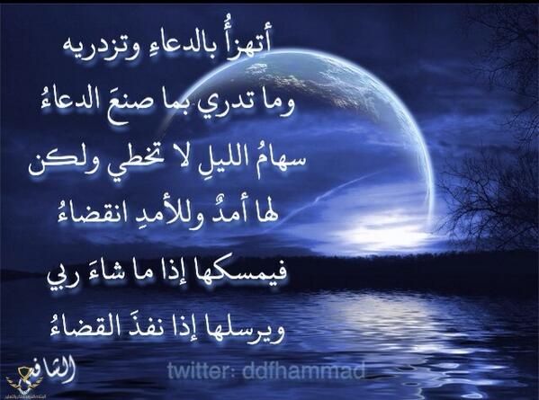 E333D3F9-62D7-4924-88CD-625BED46FE3F.jpeg