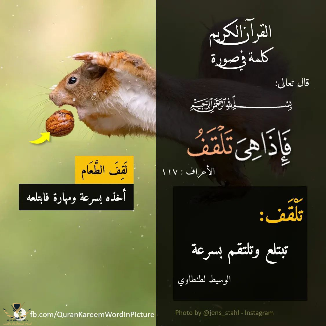 1633181786828.png