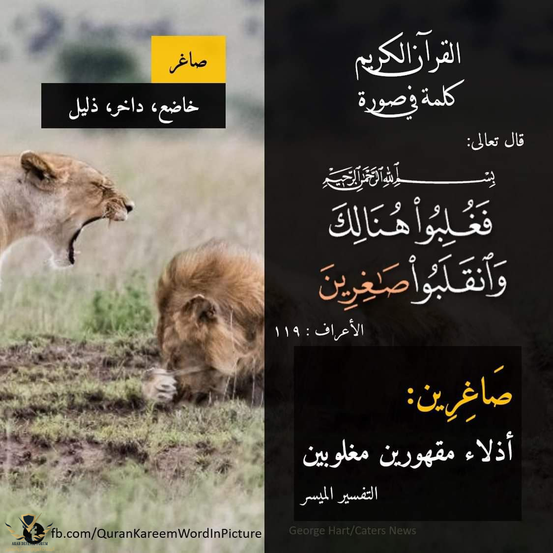 1633182745681.png