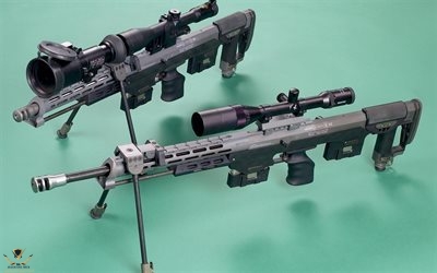 thumb-dsr-precision-dsr-50-sniper-rifle-modern-rifle-riflescope-dsr-50.jpg