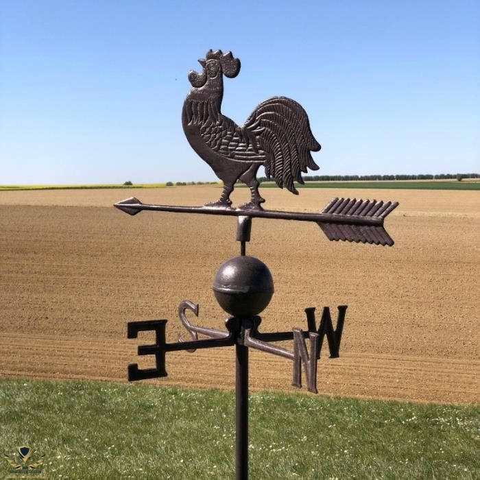 grande-girouette-coq-de-jardin-a-piquer-pic-fonte.jpg