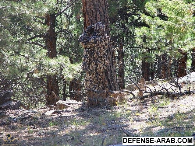 ASAT_3D_Camo.jpg