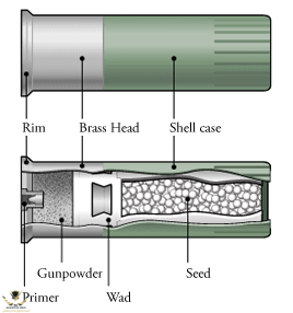 shell-casing.png