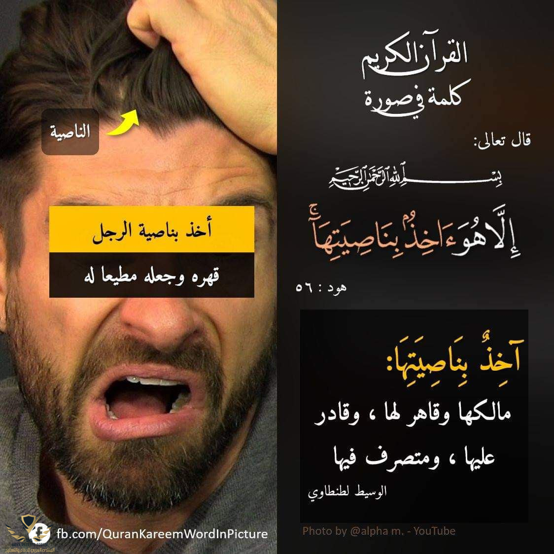 1635274061962.png